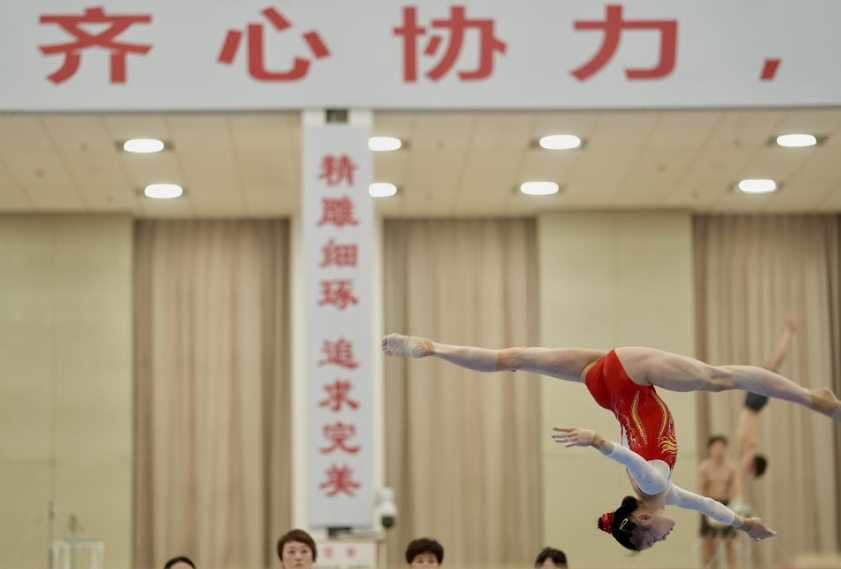畅游乐鱼体育全站官网，尽享体育盛宴